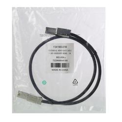 BELKIN COMPONENTS Belkin External Mini SAS Cable - SFF-8088 Mini SAS - SFF-8088 Mini SAS - 6.56ft