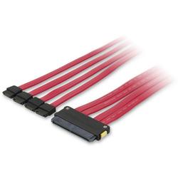 BELKIN COMPONENTS Belkin Internal SAS Cable - 4 x SFF-8484 SAS - 1 x SATA - 1.64ft