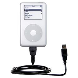 Gomadic Classic Straight USB Cable for the Apple iPod with Power Hot Sync and Charge capabilities - Gomadic