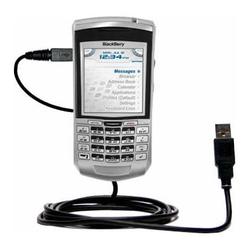Gomadic Classic Straight USB Cable for the Cingular Blackberry 7100g with Power Hot Sync and Charge capabili
