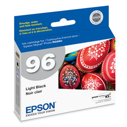 EPSON Epson Light Black Ink Cartridge For Stylus Photo R2880 Printer - Light Black
