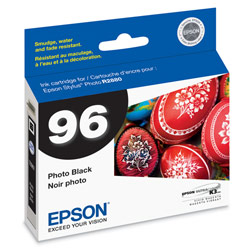 EPSON Epson Photo Black Ink Cartridge For Stylus Photo R2880 Printer - Photo Black