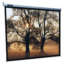 Pyle Hanging Manual Pull-Down Projector Screen