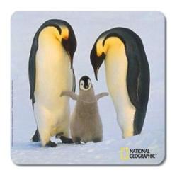 Electronic Arts NATIONAL GEOGRAPHIC FIRST BORN PENGUINS MOUSE MAT