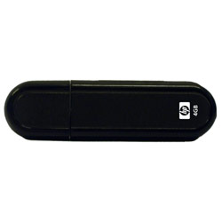 HP PNY 4GB USB 2.0 Flash Drive - 4 GB - USB - External