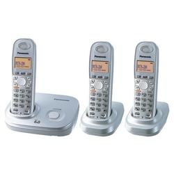 Panasonic KX-TG6313S Cordless Phone - 1 x Phone Line(s) - Silver