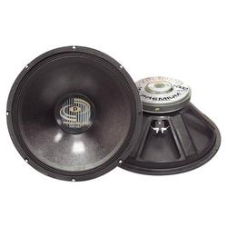 PylePro 1000 Watt Professional Premium PA 18'' Woofer