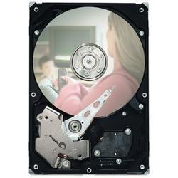 SEAGATE Seagate DB35.4 ST3250310CS Hard Drive - 250GB - 7200rpm - Serial ATA/300 - Serial ATA - Internal