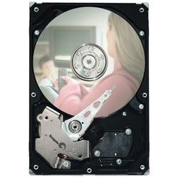 SEAGATE Seagate DB35.4 Series ST3250310CS Hard Drive - 250GB - 7200rpm - Serial ATA/300 - Serial ATA - Internal