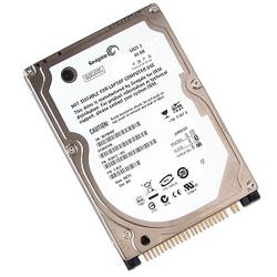 SEAGATE Seagate ST980210A 80GB UDMA/100 5400RPM 2MB 2.5'' NB HDD