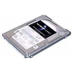 Total Micro Serial ATA Internal Hard Drive - 250GB - Serial ATA - Plug-in Module