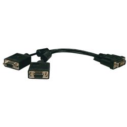 Tripp Lite DVI to VGA Splitter Cable - 1 x DL DVI-D - 2 x HD-15 - 1ft - Black
