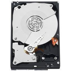 WESTERN DIGITAL Western Digital Caviar Black WD1001FALS Hard Drive - 1TB - 7200rpm - Serial ATA/300 - Serial ATA - Internal (WD1001FALS-20PK)