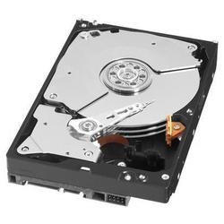 WESTERN DIGITAL Western Digital Caviar Black WD1001FALS Hard Drive - 1TB - 7200rpm - Serial ATA/300 - Serial ATA - Internal (WD1001FALS)