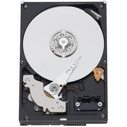 WESTERN DIGITAL Western Digital RE3 WD3202ABYS Hard Drive - 320GB - 7200rpm - Serial ATA/300 - Serial ATA - Internal (WD3202ABYS-20PK)