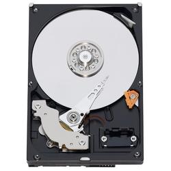 WESTERN DIGITAL Western Digital RE3 WD3202ABYS Hard Drive - 320GB - 7200rpm - Serial ATA/300 - Serial ATA - Internal (WD3202ABYS)