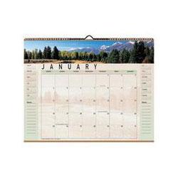 At-A-Glance 2008 Open Plan Landscape Scenes Monthly Wall Calendar, Spiralbound, 12 x 12