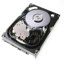 Hitachi Fibre Channel Internal Hard Drive - 450GB - 15000rpm - FC-AL - Serial Attached SCSI - Internal