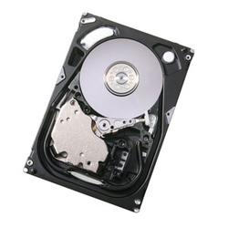 Hitachi Ultrastar 15k450 Hard Drive - 300GB - Serial Attached SCSI - Internal