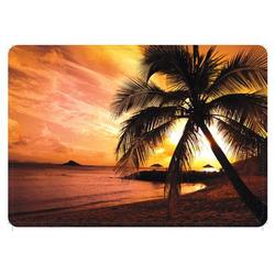 Skinware Palm Sunset