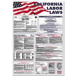Advantus Corporation State/Federal Labor Law Poster Combo Pack, multi colored