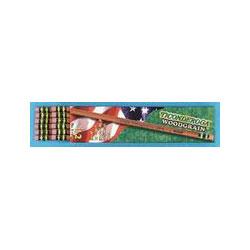 Dixon Ticonderoga Co. Ticonderoga Pencils, #2 Soft Lead, Woodgrain, Dozen