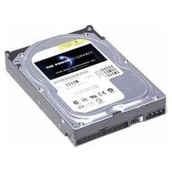 Total Micro Ultra ATA Internal Hard Drive - 250GB - Ultra ATA - IDE/EIDE - Internal