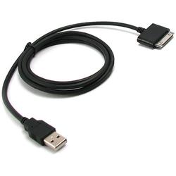 BoxWave Corporation Apple iPhone 3G DirectSync Cable (Black)