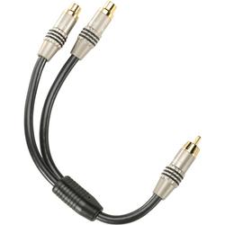 Acoustic Research Audiovox Pro Series II Audio Y-Cable - 1 x RCA - 2 x RCA