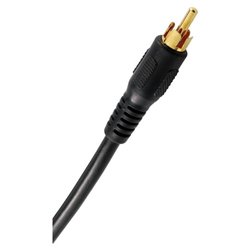 Axis RCA A/V Cable - 1 x RCA - 1 x RCA - 6ft