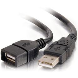 CABLES TO GO Cables To Go USB Extension Cable - 1 x Type A USB - 1 x Type A USB - 6.56ft - Black