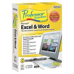 Individual Professor Teaches Excel and Word ( Windows )