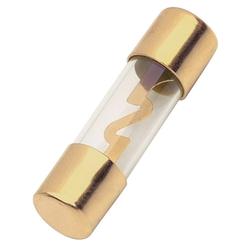 Metra METRA - Gold AGU Fuse - Cartridge - 30A