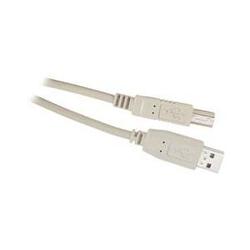 Steren USB 2.0 Cable - 1 x Type A USB - 1 x Type B USB - 10ft - Ash Gray