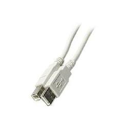 Steren USB 2.0 Cable - 1 x Type A USB - 1 x Type B USB - 6ft - Ash Gray
