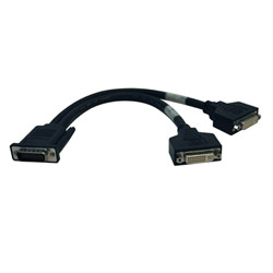 Tripp Lite DMS59 to (2) DVI-I Female Splitter Cable - 1ft