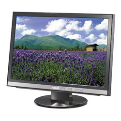 Asus ASUS 20 Widescreen (1680x1050) LCD Monitor