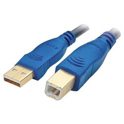 Accell Adesso Gold Series USB 2.0 Cable - 1 x Type A - 1 x Type B USB - 10ft