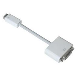 Apple DVI to mini-DVI Video Cable Adapter - mini-DVI Male to 24-pin DVI-D (Digital) Male
