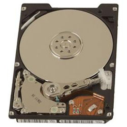 APRICORN Apricorn 80GB Dell Latitude & Inspiron Series Notebook Hard Drive - 80GB - 4200rpm - Internal