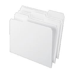 Esselte Pendaflex Corp. Archival File Folder, Letter, 100/BX, White (ESS62701)