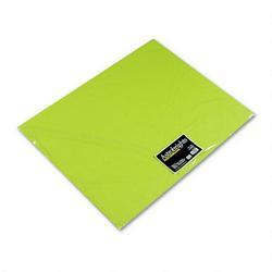 Wausau Papers Astrobrights Premium Poster Board, 22 x 28, Terra Green™, 24 Per Carton (WAU22054)