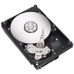 SEAGATE Barracuda 7200.8 300GB Hard Drive (Ultra ATA/100, 7,200 RPM, 8MB)