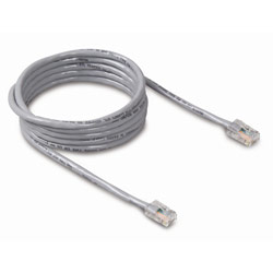 BELKIN COMPONENTS Belkin Cat.5E UTP Patch Cable - 1 x RJ-45 - 1 x RJ-45 - 50ft