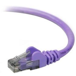 BELKIN COMPONENTS Belkin Cat.6 UTP Cable - 1 x RJ-45 - 1 x RJ-45 - 3ft - Purple