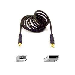 BELKIN COMPONENTS Belkin Gold Series USB Device Cable - 1 x Type A - 1 x Type B - 16ft - Black