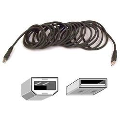 BELKIN COMPONENTS Belkin Hi-Speed USB 2.0 Cable, 10 feet