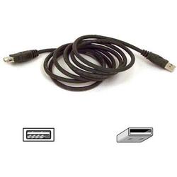 BELKIN COMPONENTS Belkin USB Extender Cable - 1 x Type A - 1 x Type A USB - 3ft