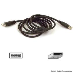 Belkin USB Extension Cable - 1 x Type A - 1 x Type A - 6ft