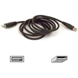 BELKIN COMPONENTS Belkin USB Extension Cable - 1 x Type A USB - 1 x Type A USB - 6ft